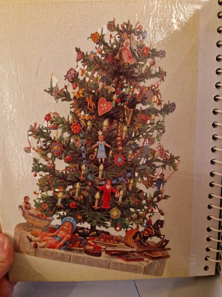 galleryimage 2
