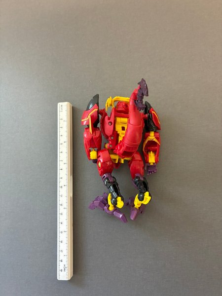 galleryimage 2
