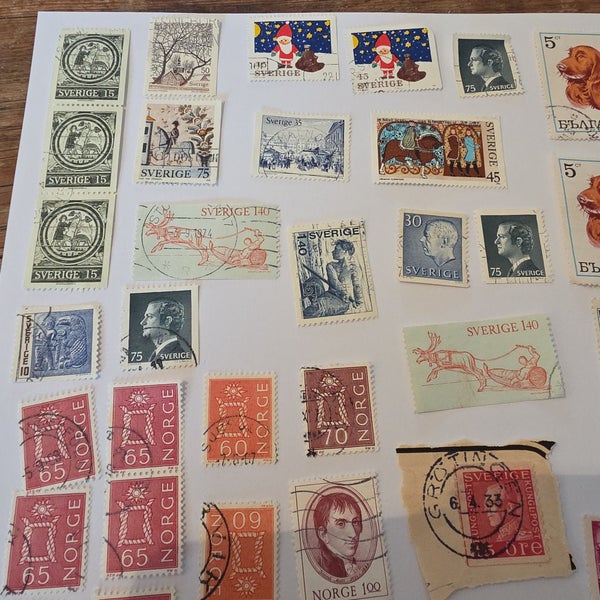 galleryimage 2