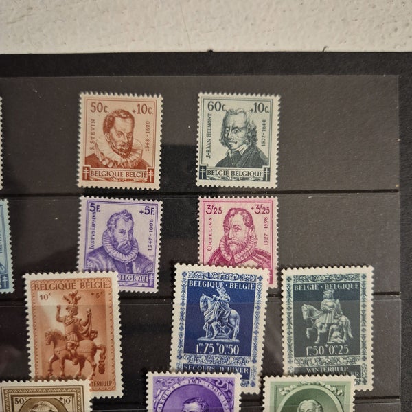 galleryimage 3