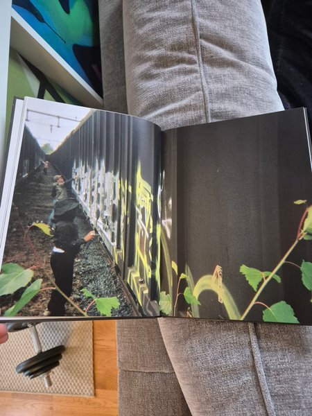 galleryimage 2