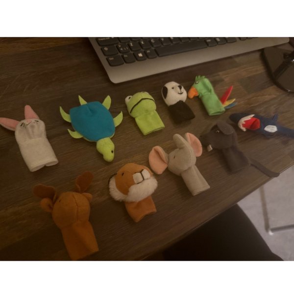 galleryimage 2