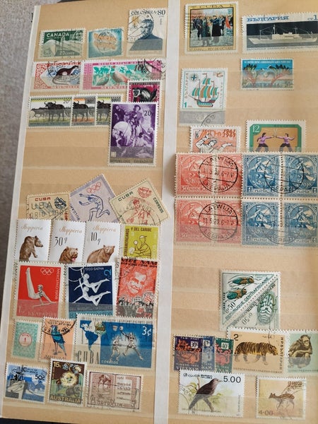 galleryimage 2