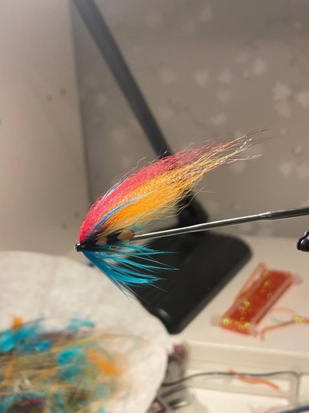 galleryimage 2 zoomed in