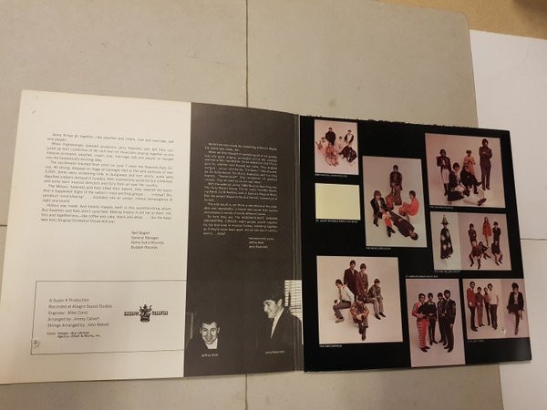galleryimage 3