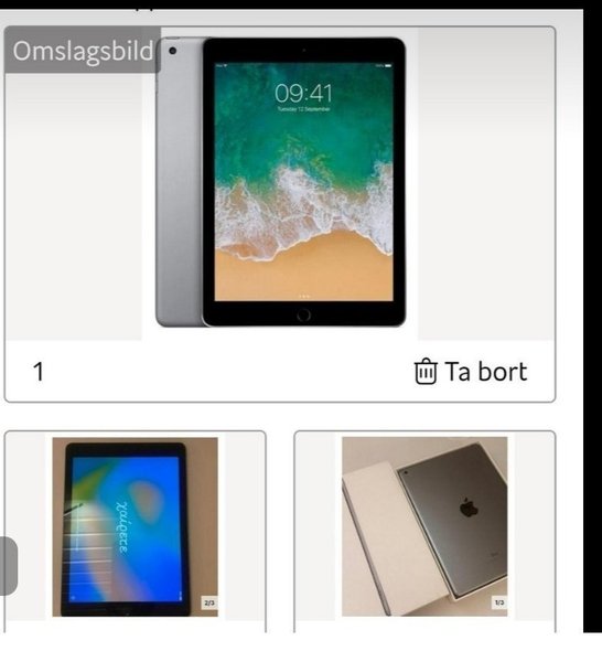 galleryimage 3