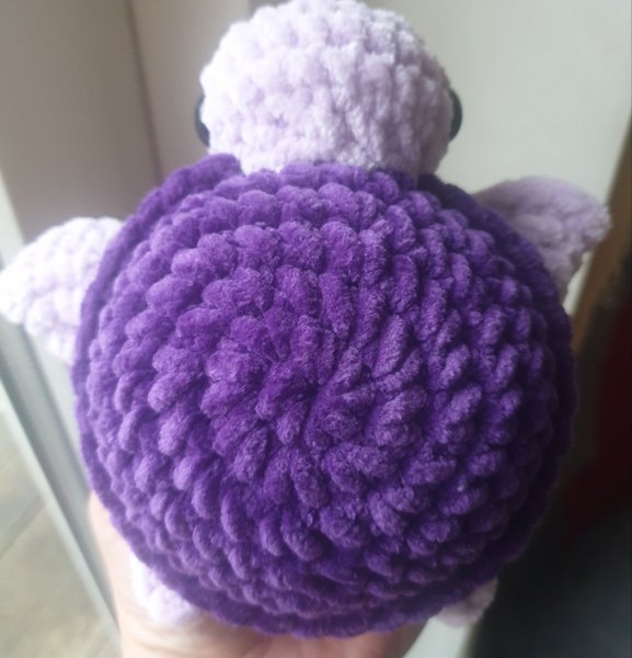 galleryimage 2 zoomed in