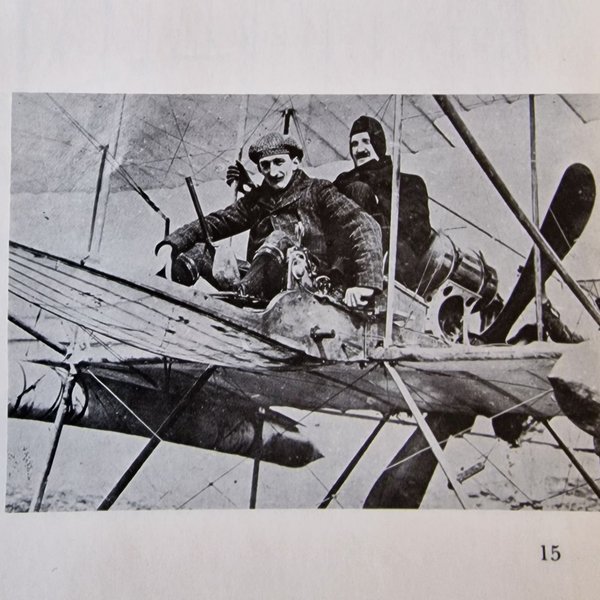 galleryimage 3