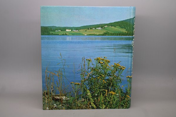 galleryimage 2