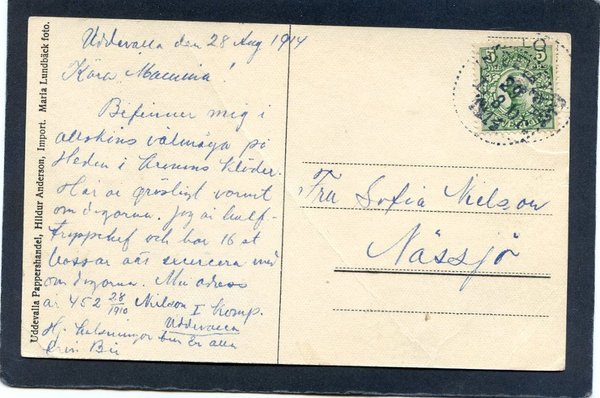 galleryimage 2 zoomed in