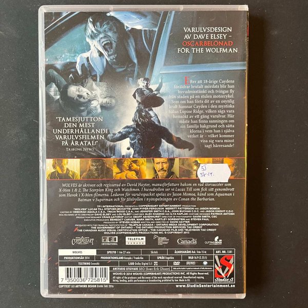 galleryimage 2 zoomed in