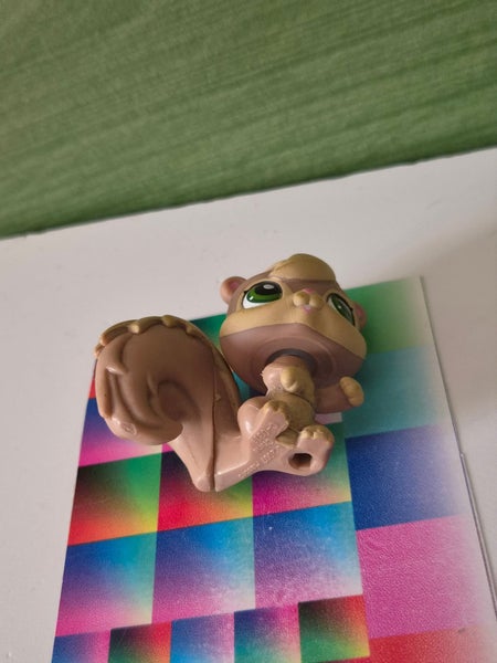 galleryimage 3