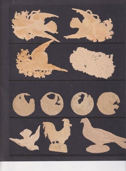 galleryimage 2
