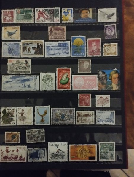 galleryimage 2 zoomed in