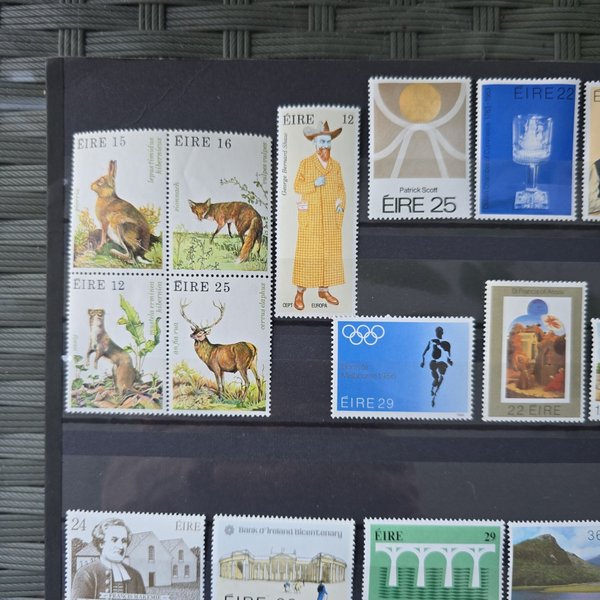 galleryimage 2