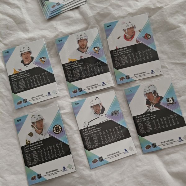 galleryimage 2 zoomed in