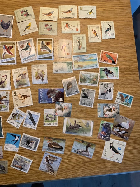 galleryimage 3