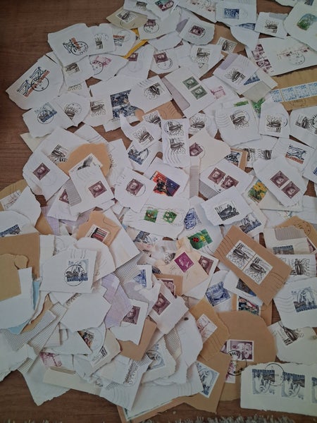 galleryimage 2
