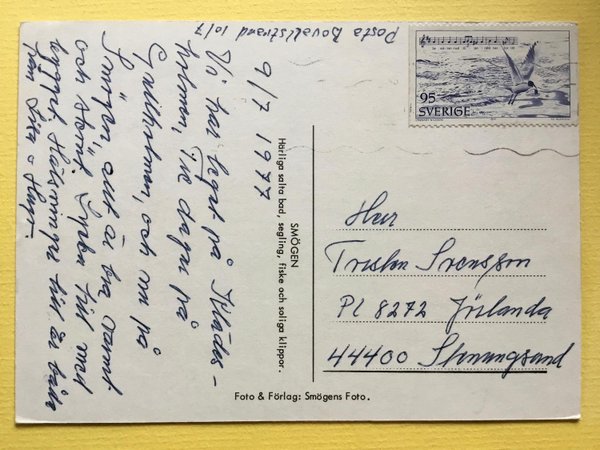 galleryimage 2 zoomed in