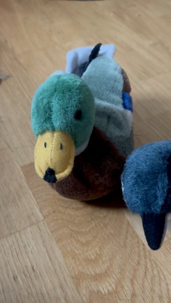 galleryimage 2 zoomed in