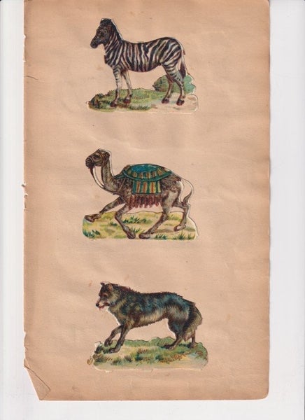 galleryimage 3
