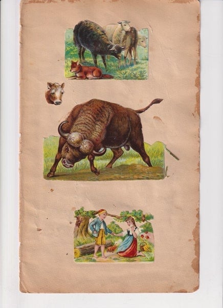 galleryimage 2