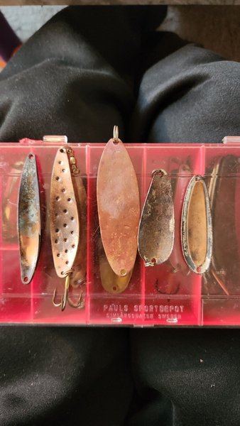 galleryimage 2 zoomed in