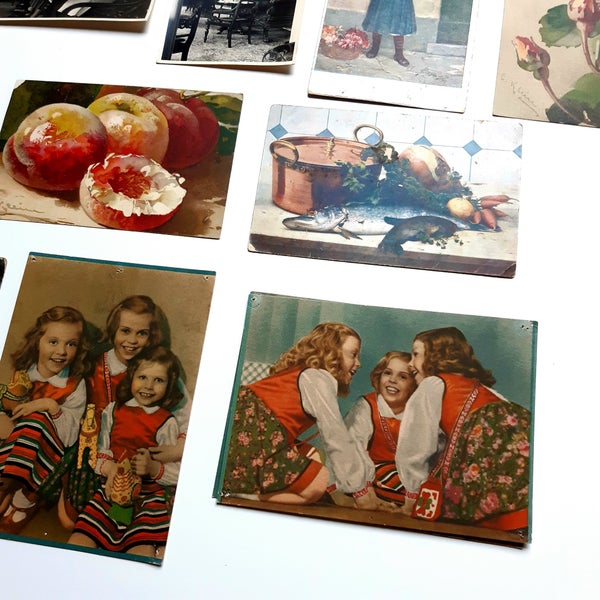 galleryimage 3