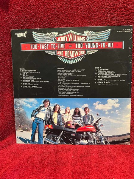 galleryimage 2 zoomed in