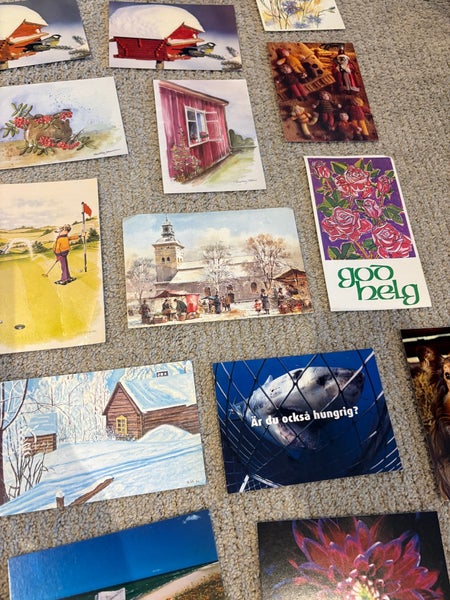 galleryimage 3