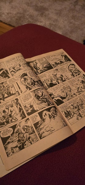 galleryimage 3