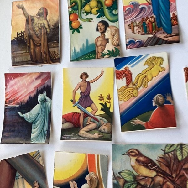 galleryimage 2