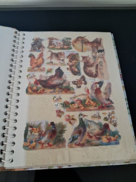 galleryimage 2