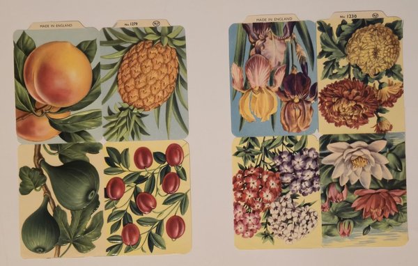 galleryimage 2