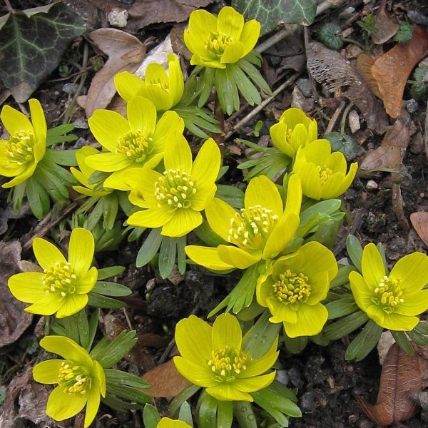 galleryimage 2