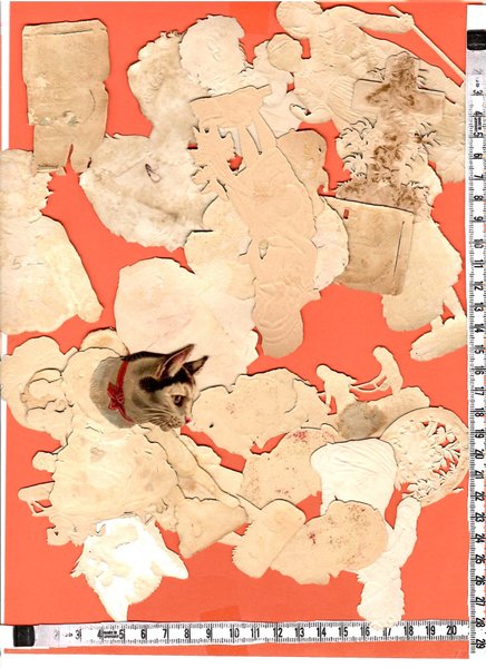 galleryimage 2