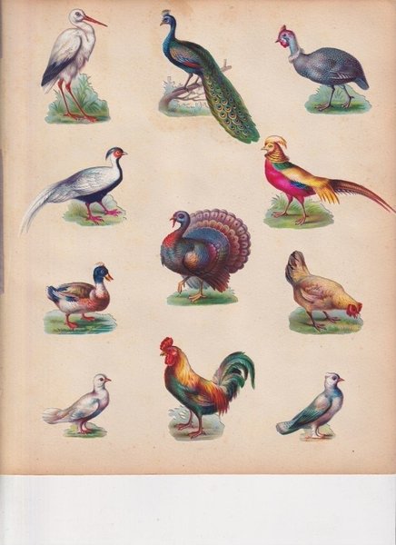 galleryimage 2