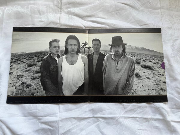 galleryimage 3