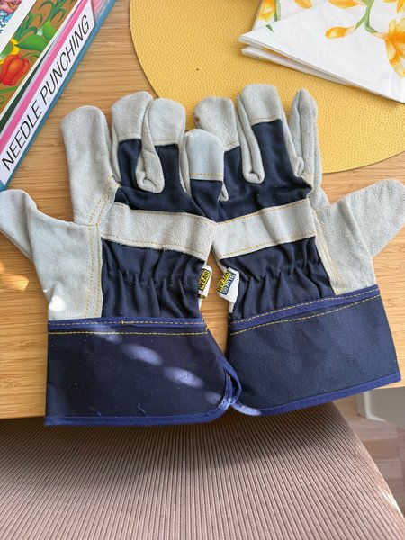 galleryimage 2 zoomed in