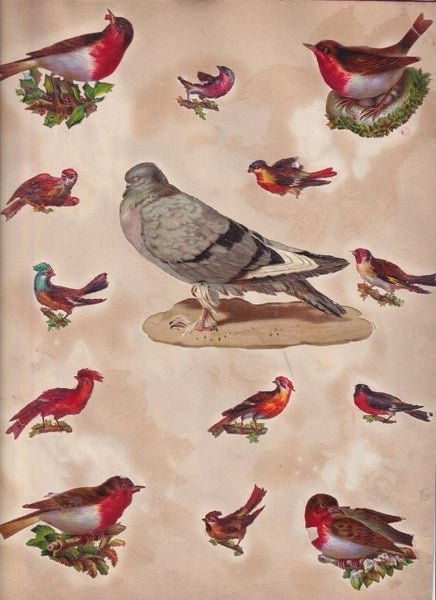 galleryimage 3