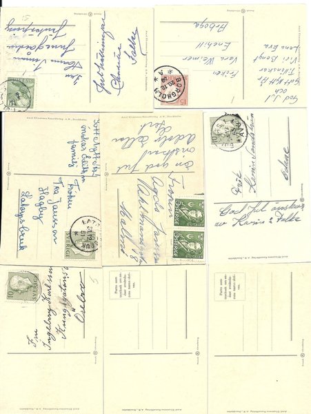 galleryimage 2 zoomed in