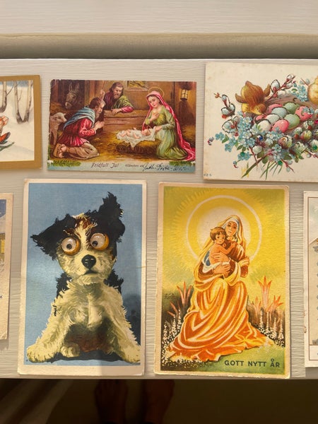 galleryimage 3