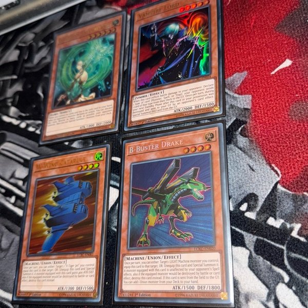 galleryimage 2 zoomed in