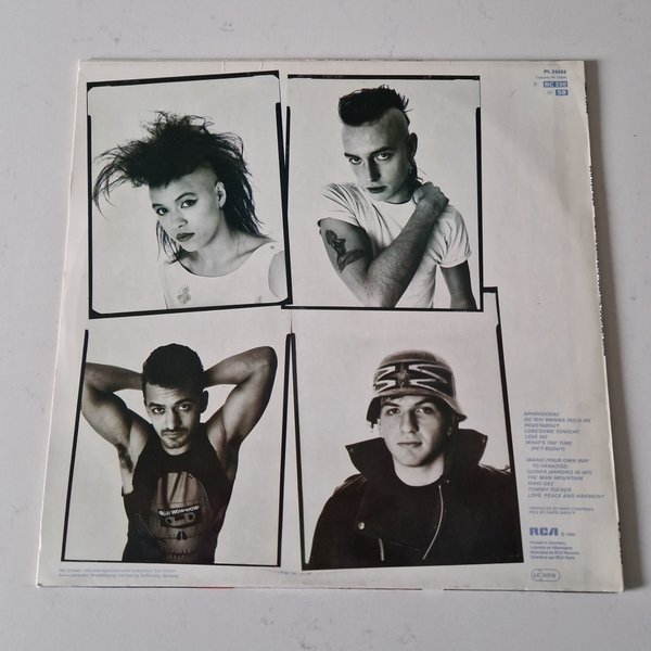 galleryimage 2