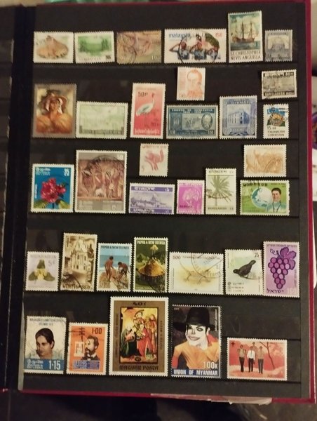 galleryimage 2 zoomed in