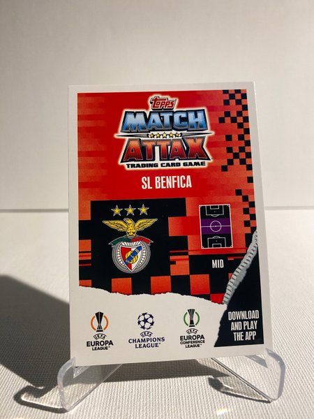 galleryimage 2 zoomed in