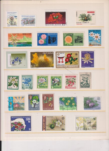 galleryimage 2
