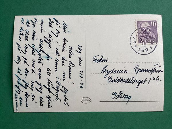 galleryimage 2 zoomed in