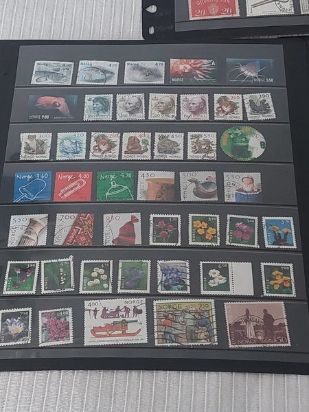 galleryimage 3