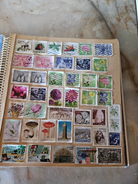 galleryimage 2